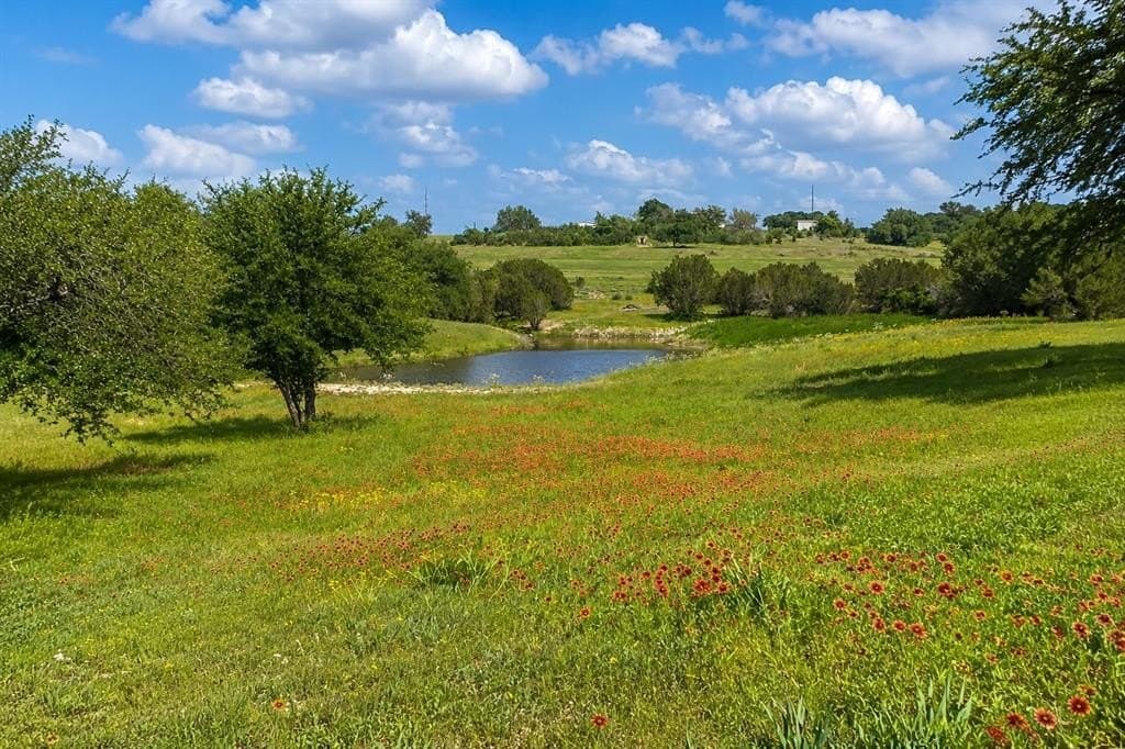 36.42 acres in Erath County gallery image 4