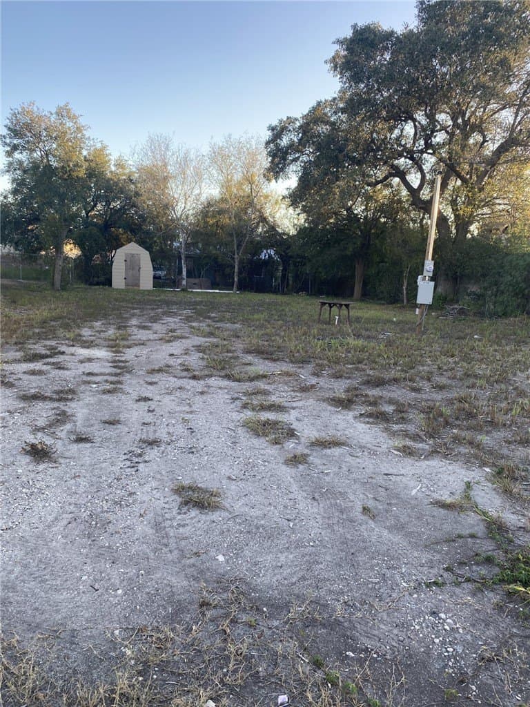 0.16 acres in Jim Wells County gallery image 3