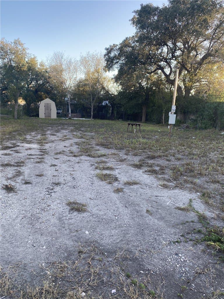 0.16 acres in Jim Wells County gallery image 2