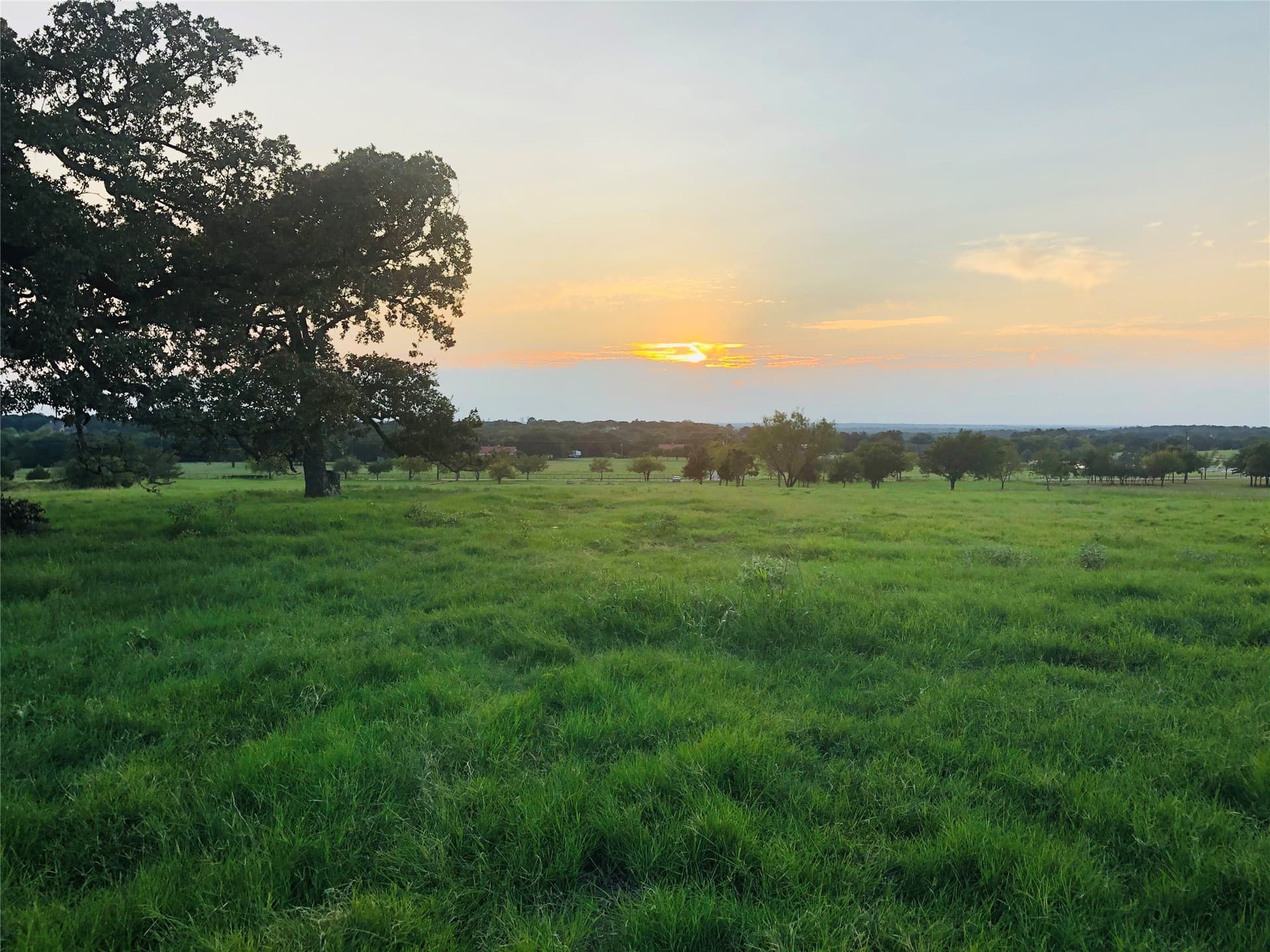 10.35 acres in Denton County gallery image 3