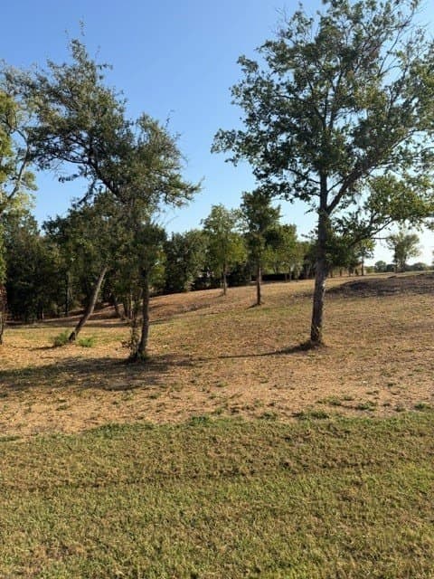 1.56 acres in Navarro County - photo 2