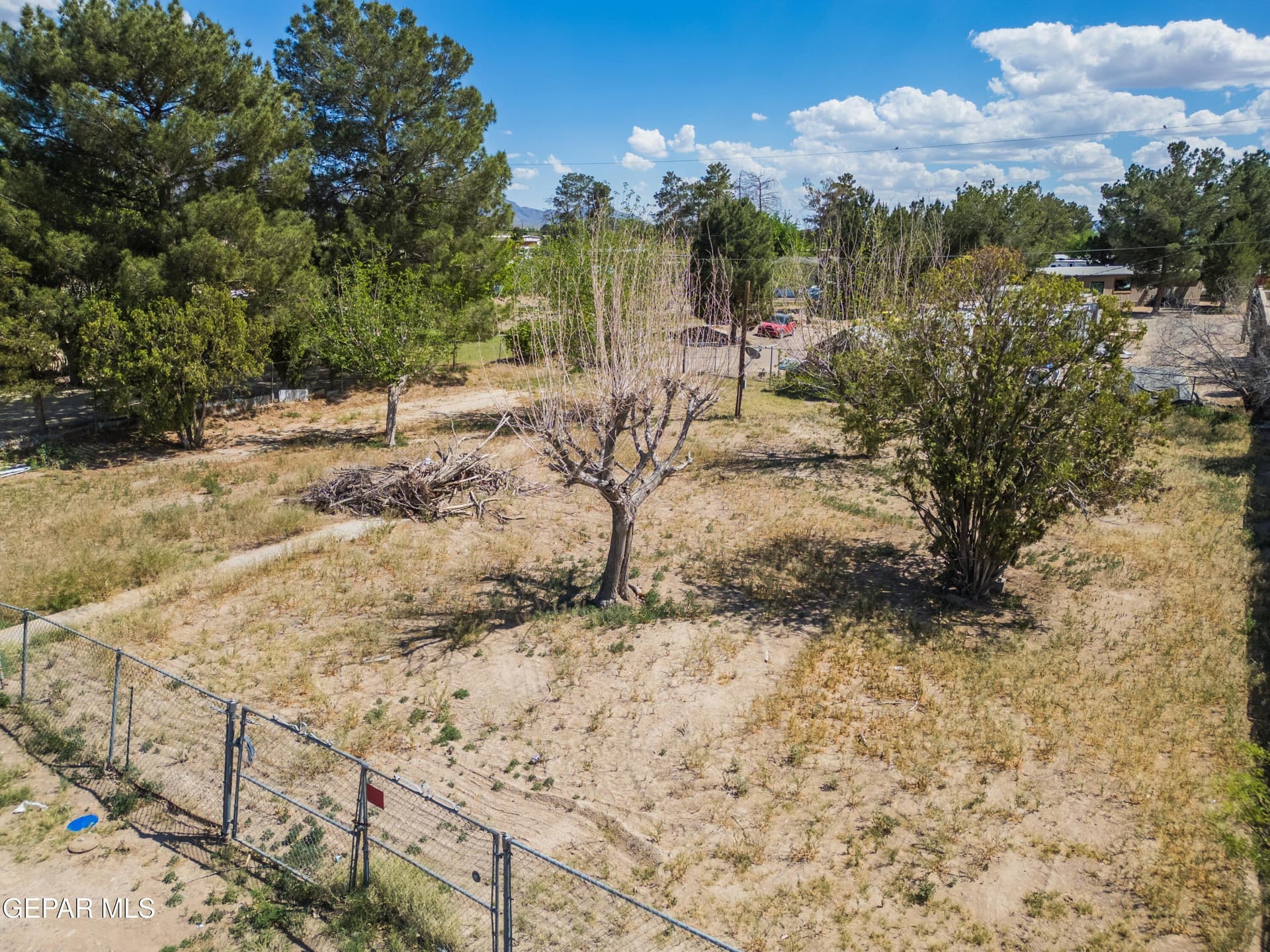 0.25 acres in El Paso County - photo 6