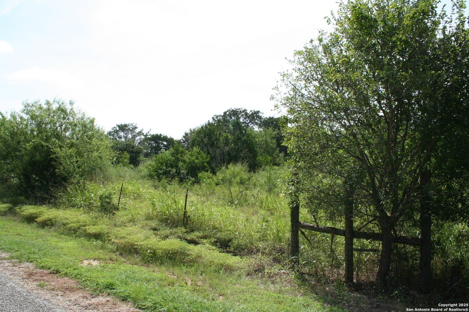 3.04 acres in Comal County gallery image 4