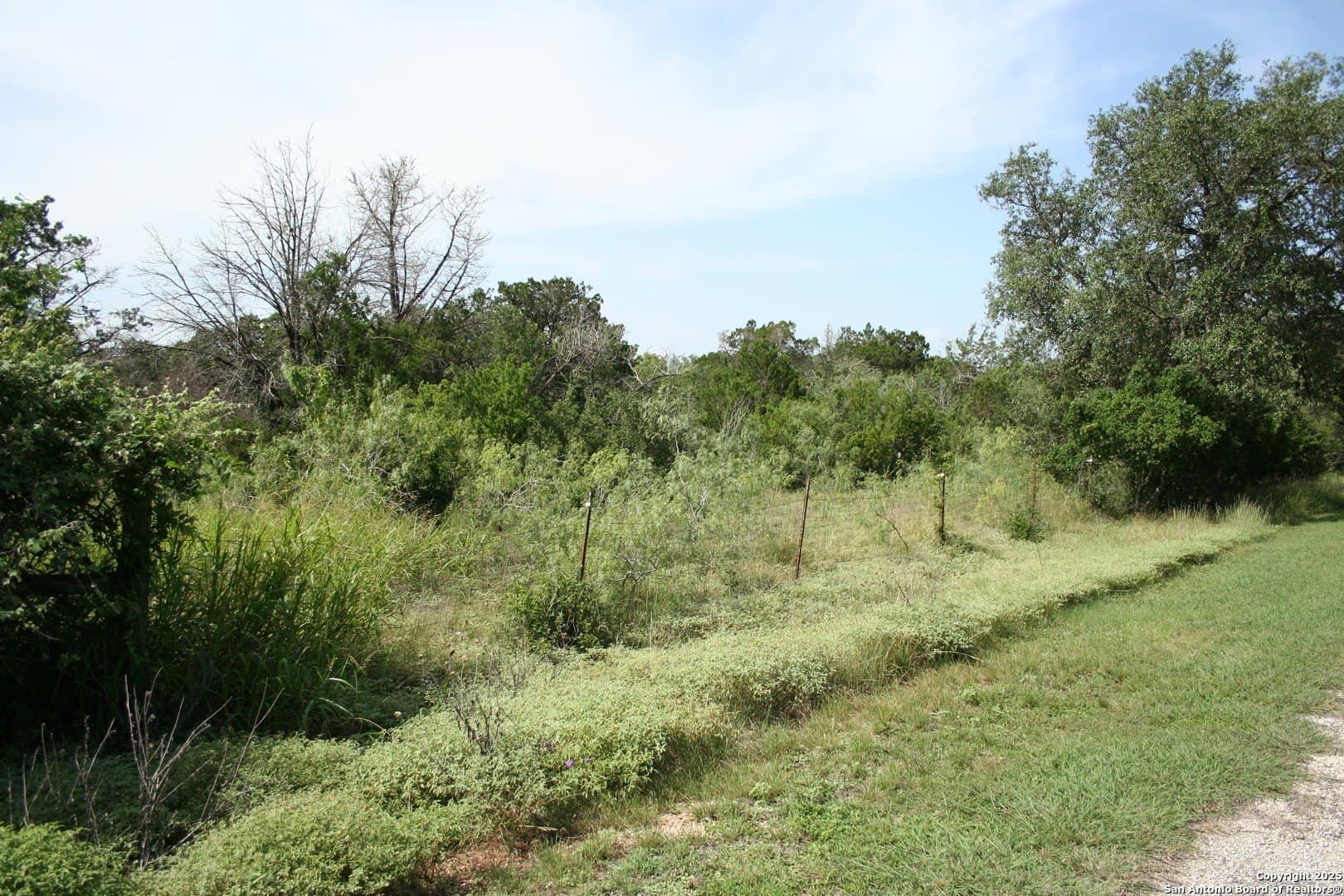 3.04 acres in Comal County gallery image 2