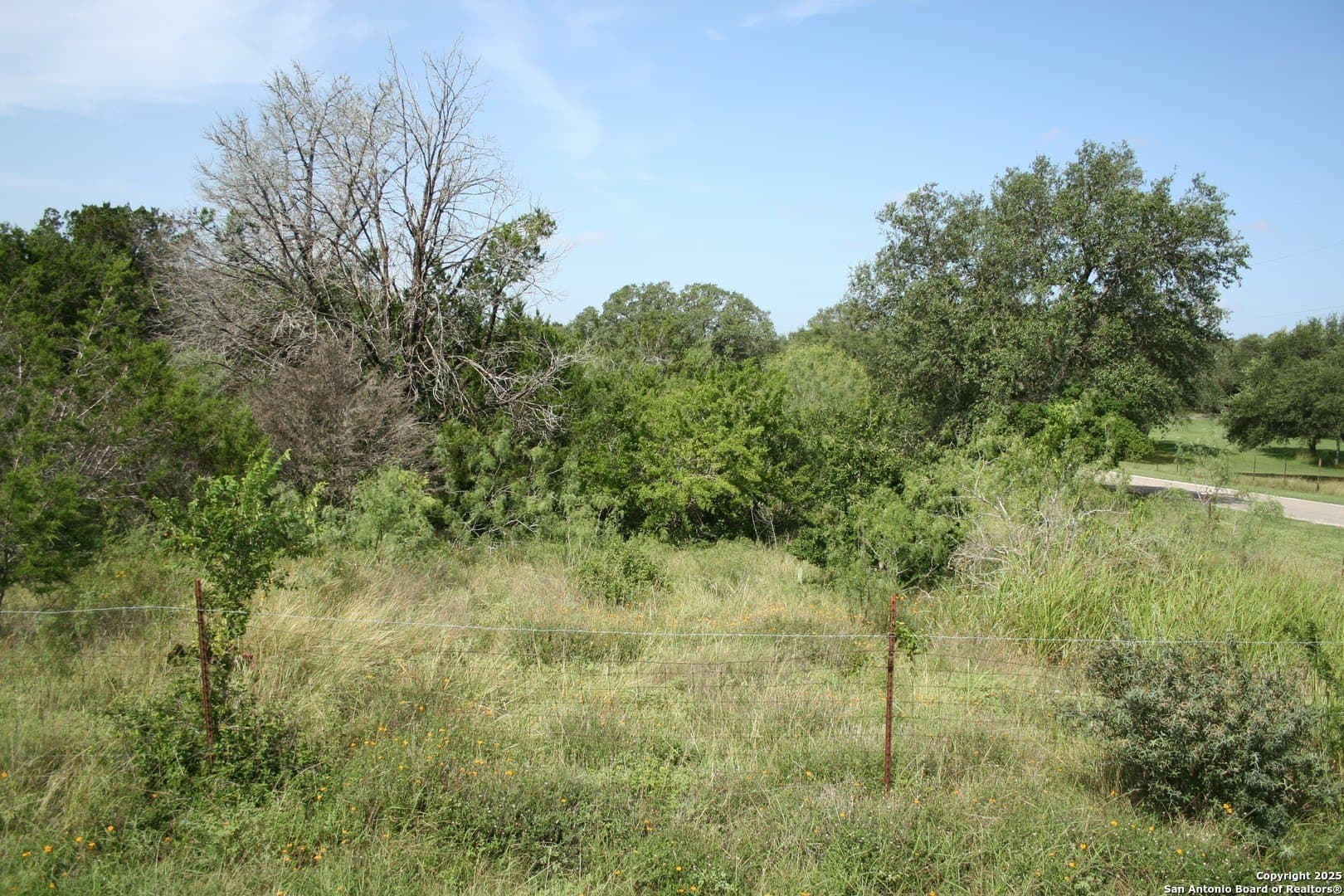 3.04 acres in Comal County - photo 6