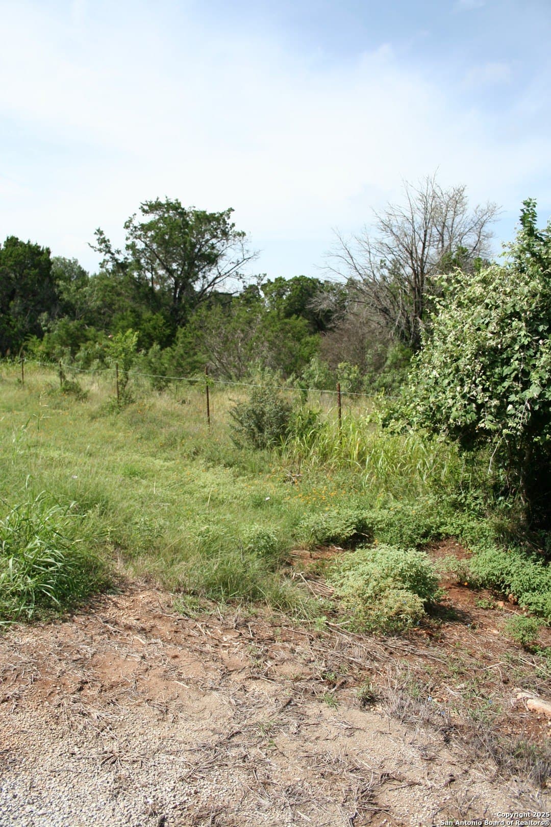 3.04 acres in Comal County gallery image 3