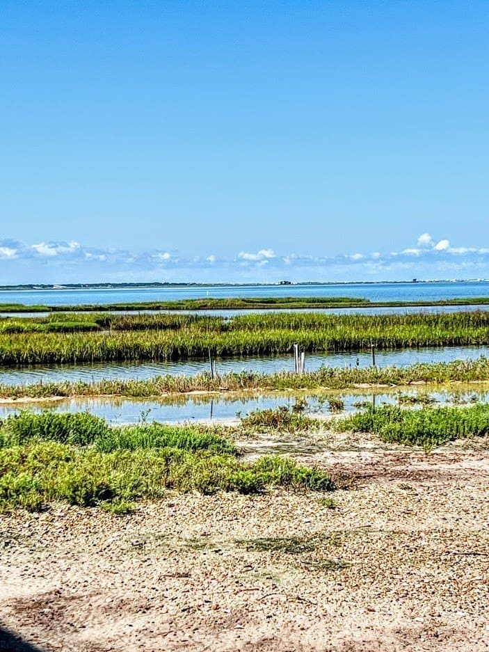 0.2 acres in Aransas County gallery image 4