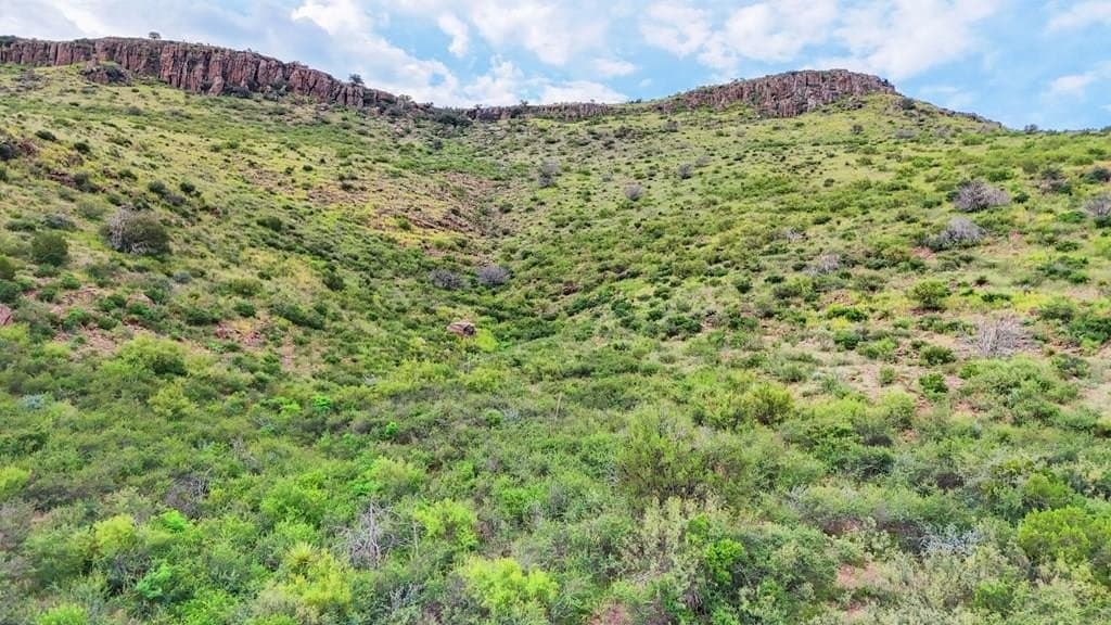 20 acres in Jeff Davis County