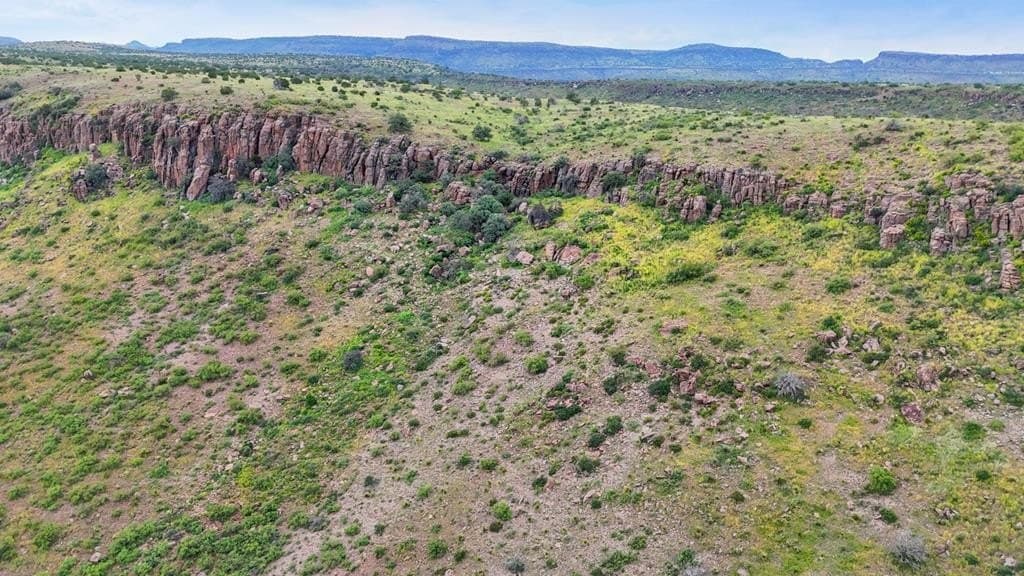 20 acres in Jeff Davis County - photo 2