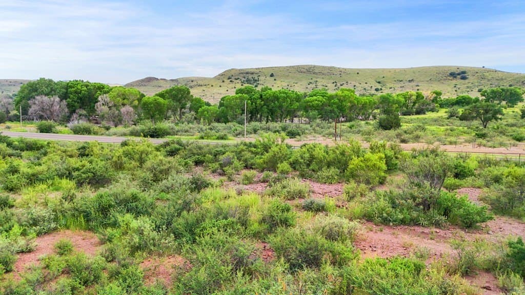 20 acres in Jeff Davis County - photo 6