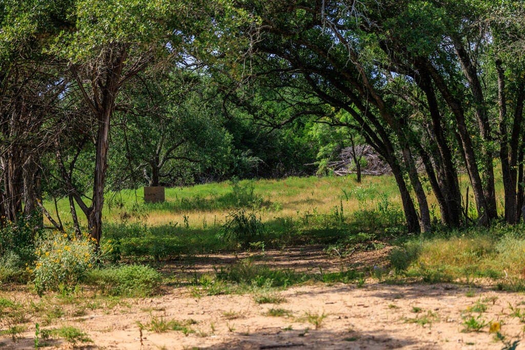 20.49 acres in Gillespie County - photo 10