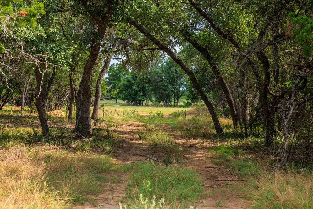 20.49 acres in Gillespie County - photo 37
