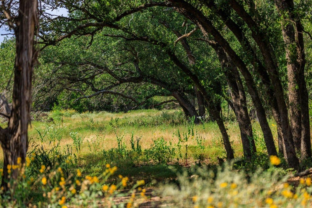 20.49 acres in Gillespie County - photo 30