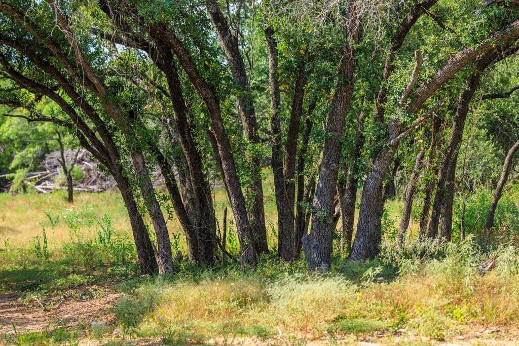 20.49 acres in Gillespie County - photo 29