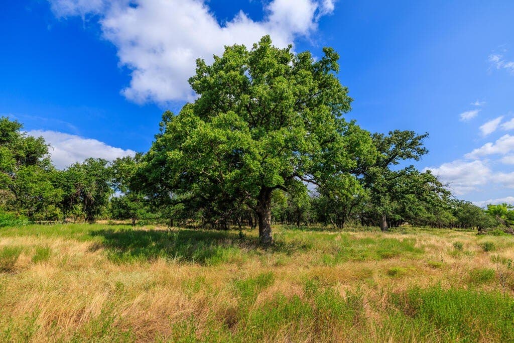 20.49 acres in Gillespie County - photo 34