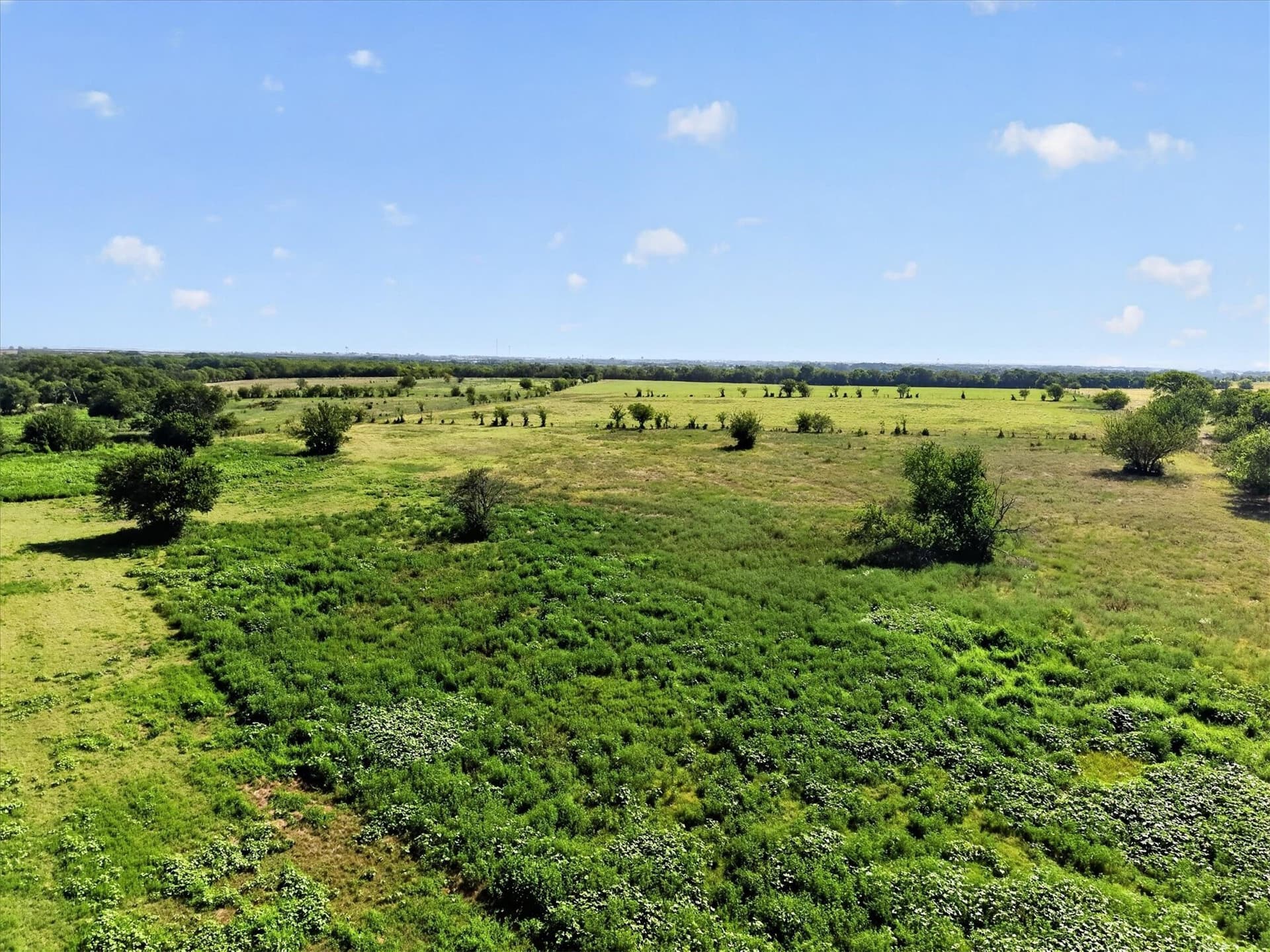 43.88 acres in Ellis County - photo 9