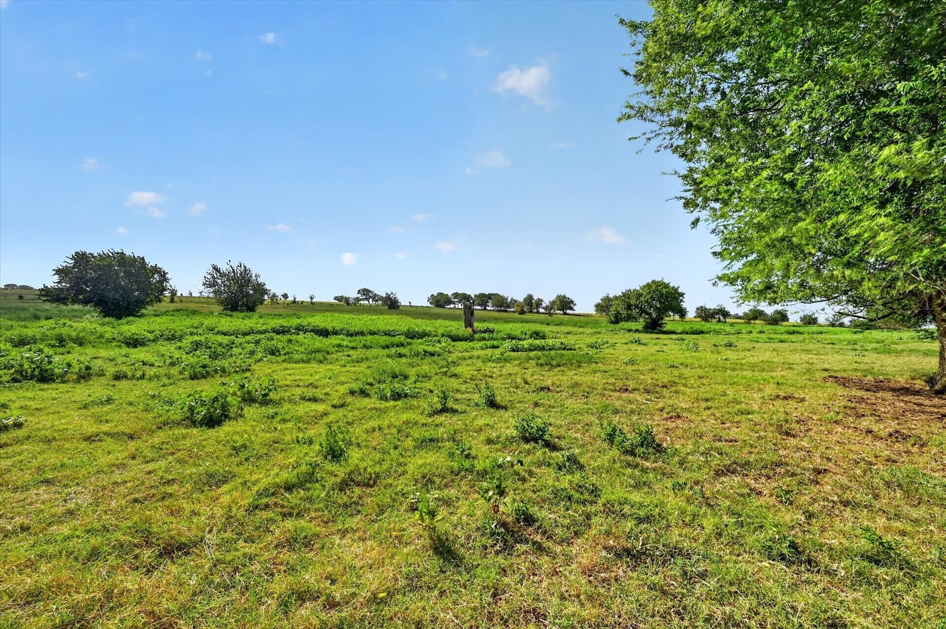 43.88 acres in Ellis County - photo 5