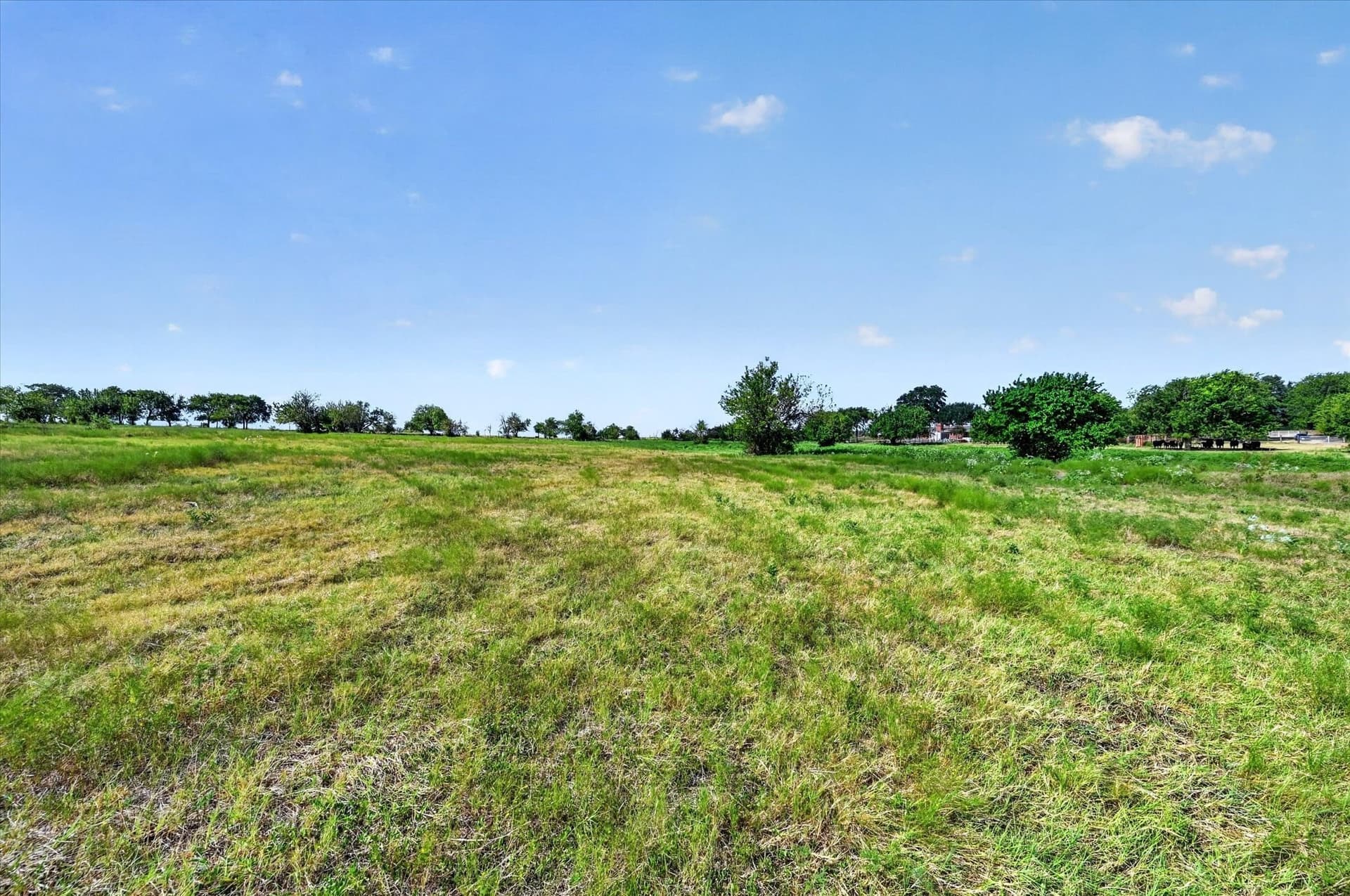 43.88 acres in Ellis County - photo 18