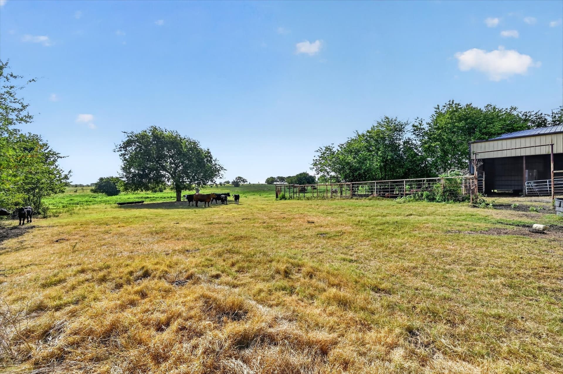 43.88 acres in Ellis County - photo 4