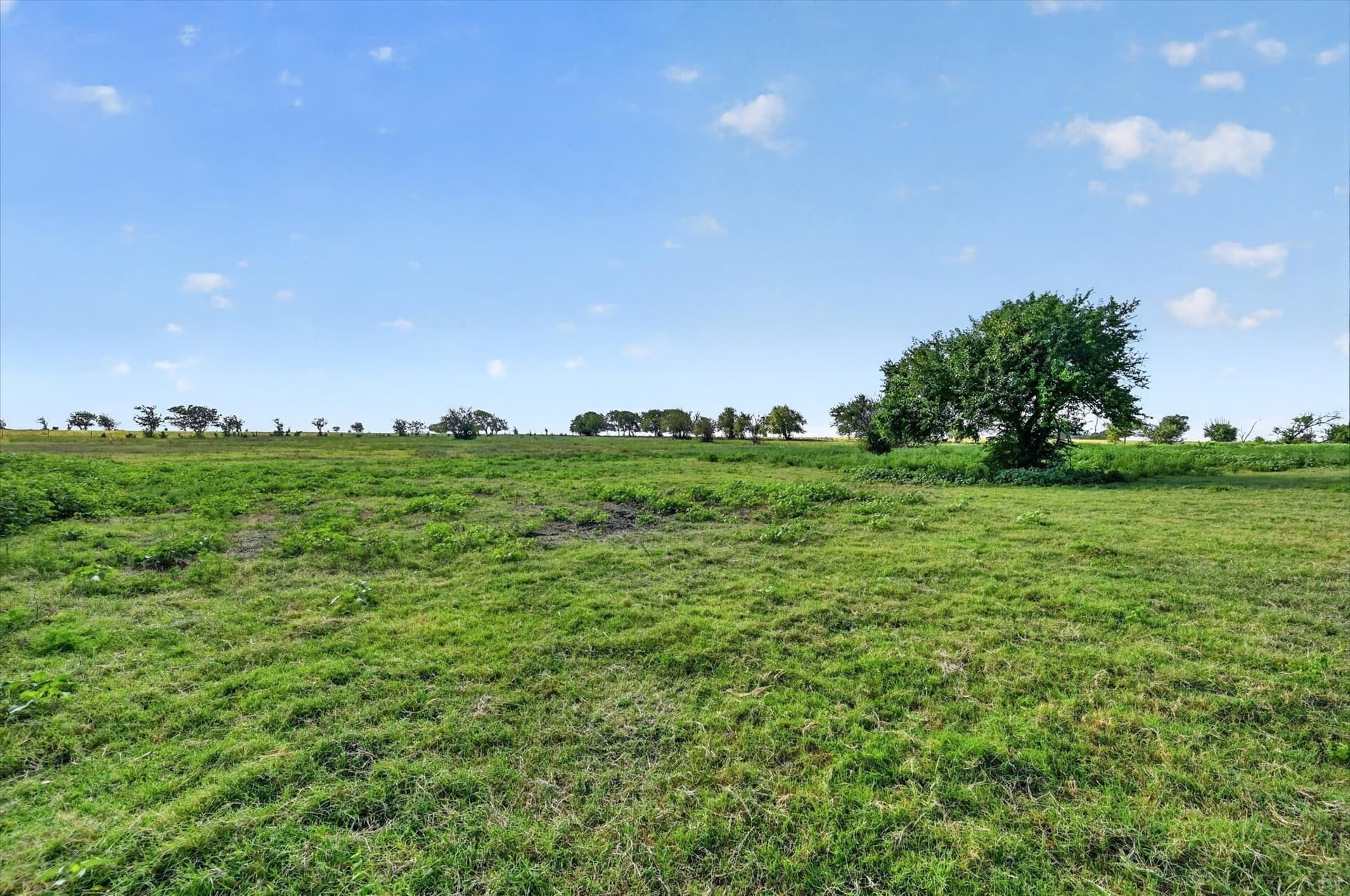 43.88 acres in Ellis County - photo 7