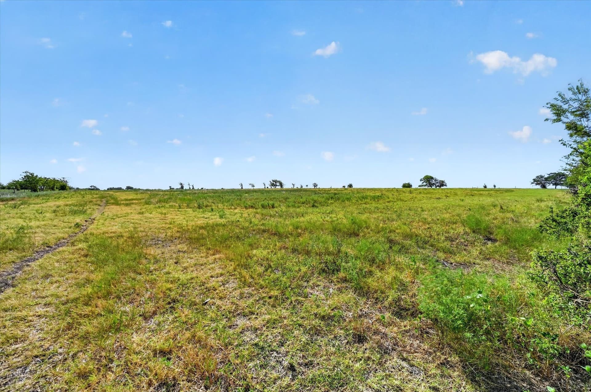 43.88 acres in Ellis County - photo 8