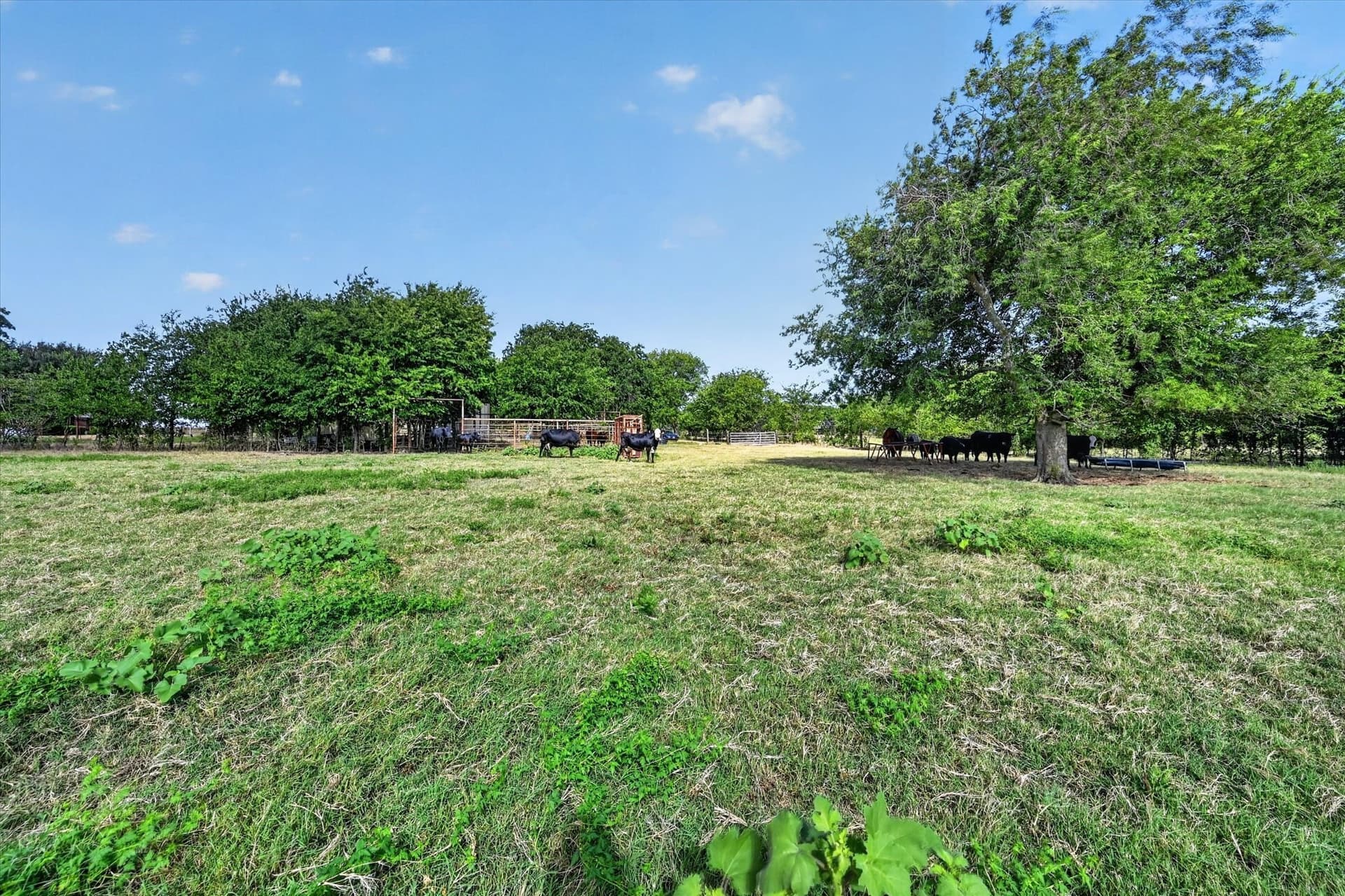 43.88 acres in Ellis County - photo 6