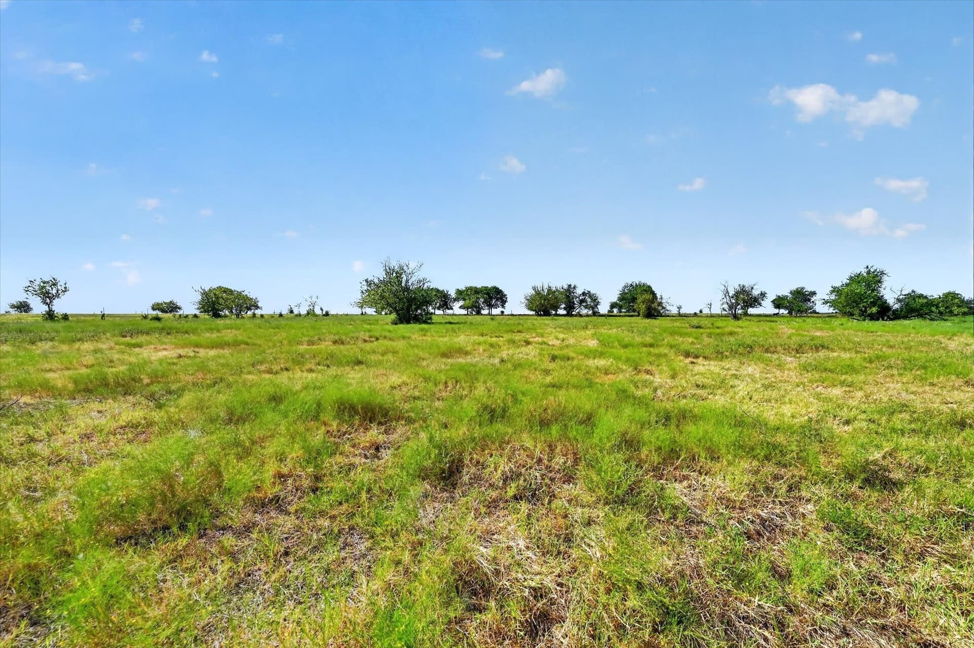 43.88 acres in Ellis County - photo 16