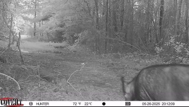17.7 acres in Smith County - photo 17