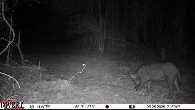 17.7 acres in Smith County - photo 15