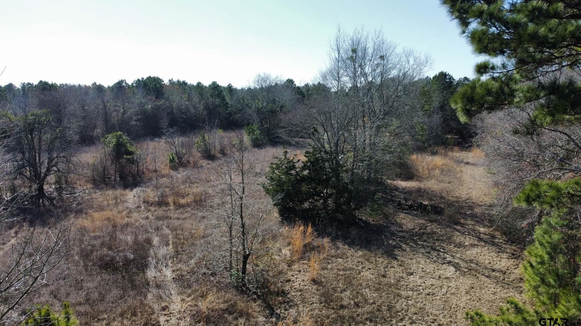 17.7 acres in Smith County - photo 23