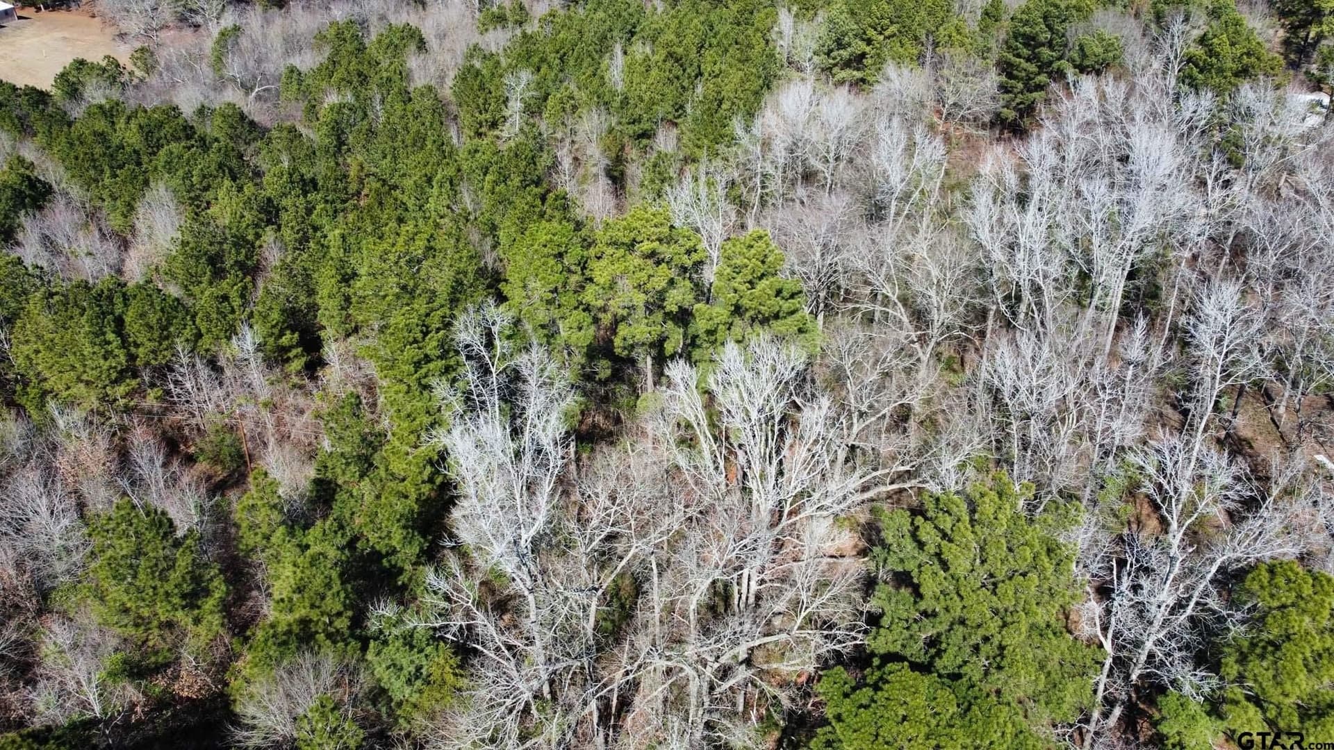 17.7 acres in Smith County - photo 21