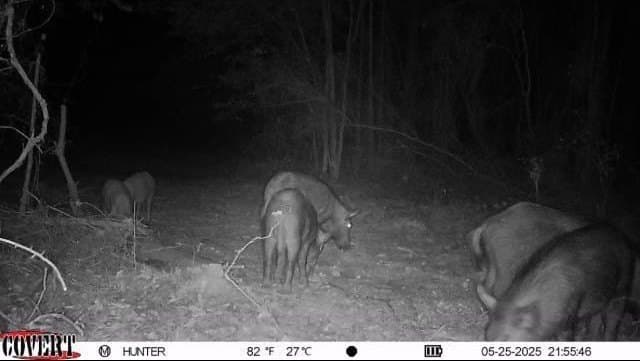 17.7 acres in Smith County - photo 13