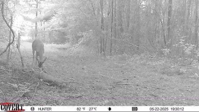 17.7 acres in Smith County - photo 11