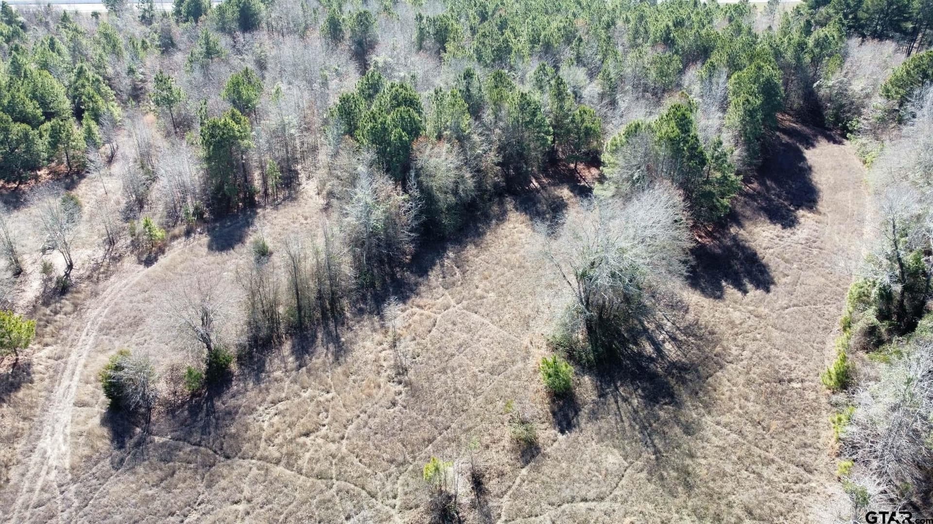 17.7 acres in Smith County - photo 22