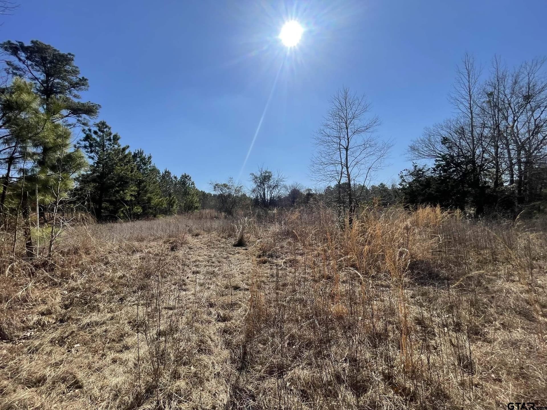 17.7 acres in Smith County - photo 9