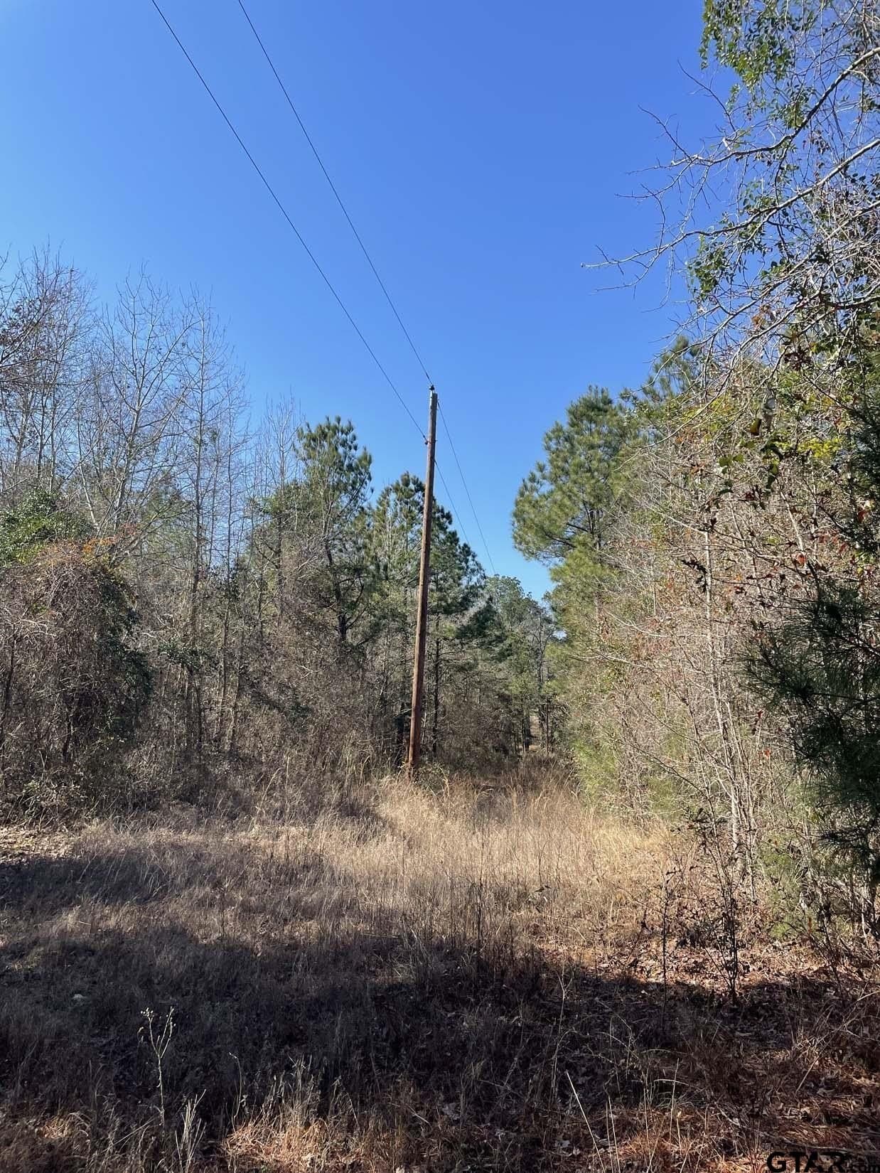 17.7 acres in Smith County - photo 6