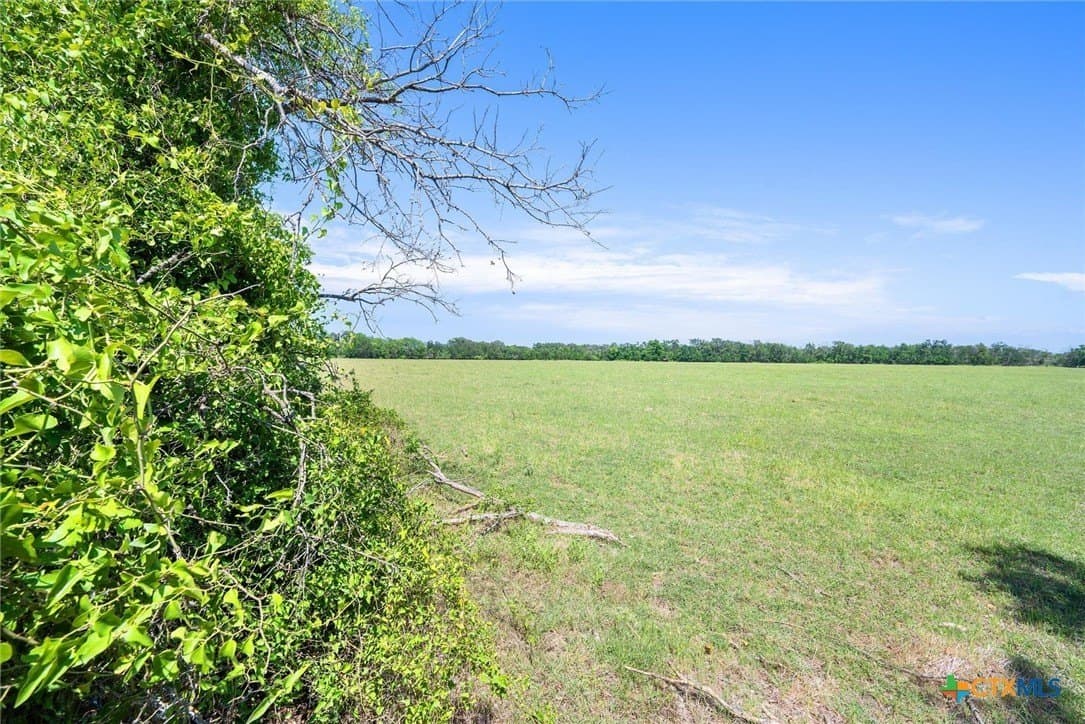 50 acres in Milam County featured view