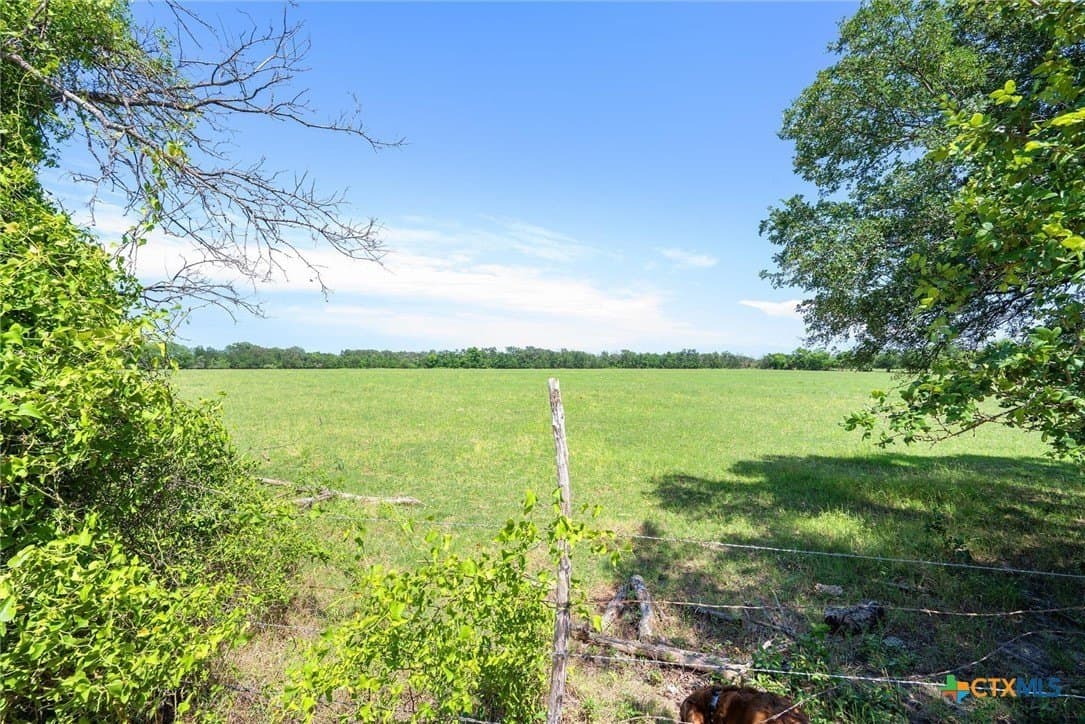 50 acres in Milam County gallery image 4
