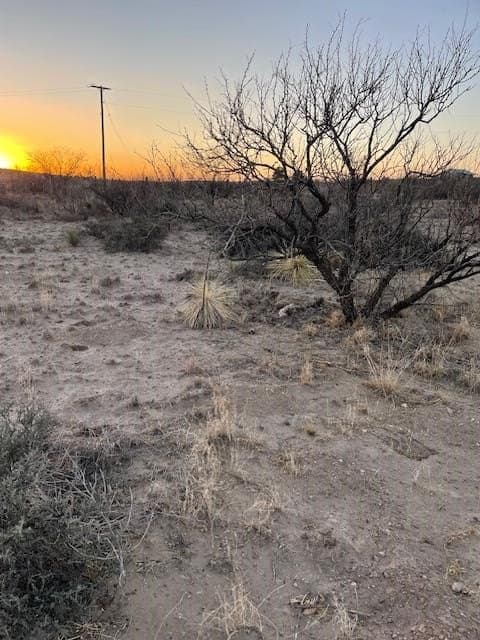 0.8 acres in Presidio County gallery image 4