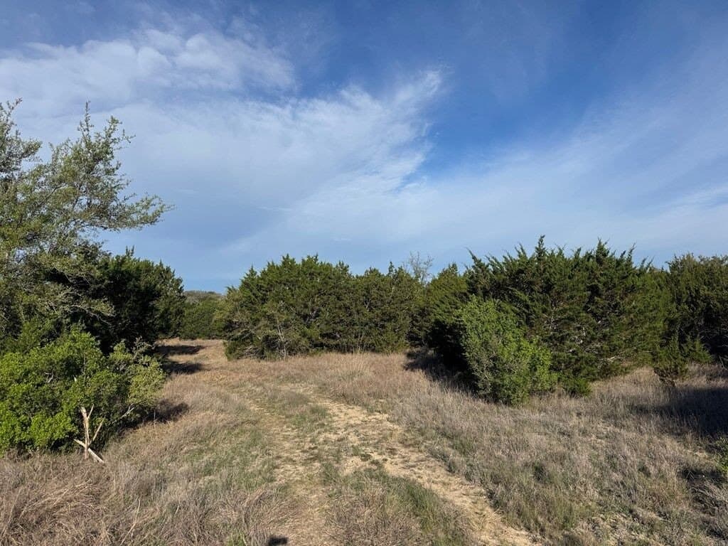 10 acres in Bandera County - photo 3