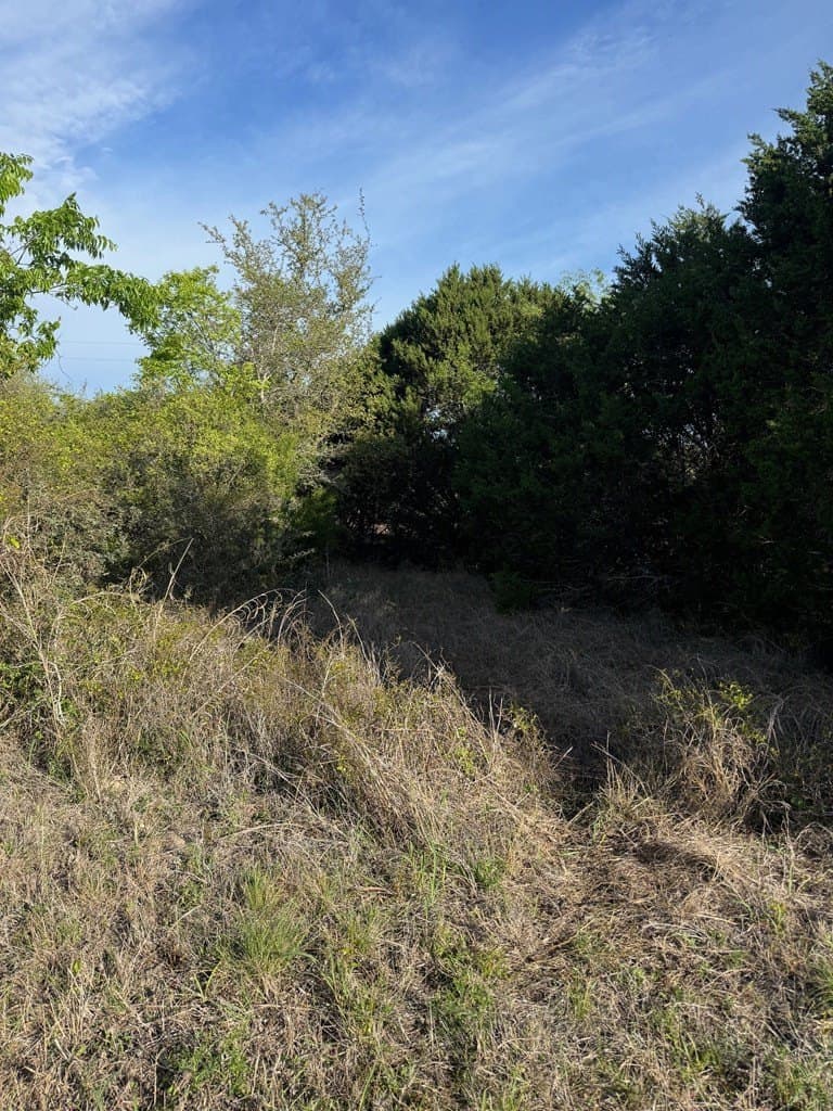 10 acres in Bandera County - photo 6