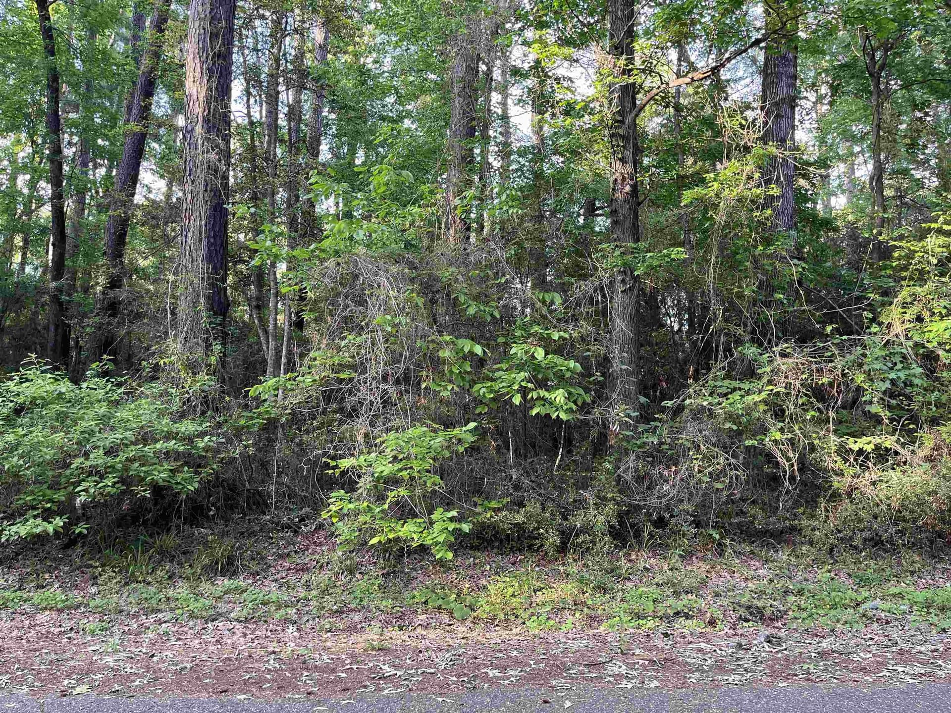 0.27 acres in Texas County gallery image 3