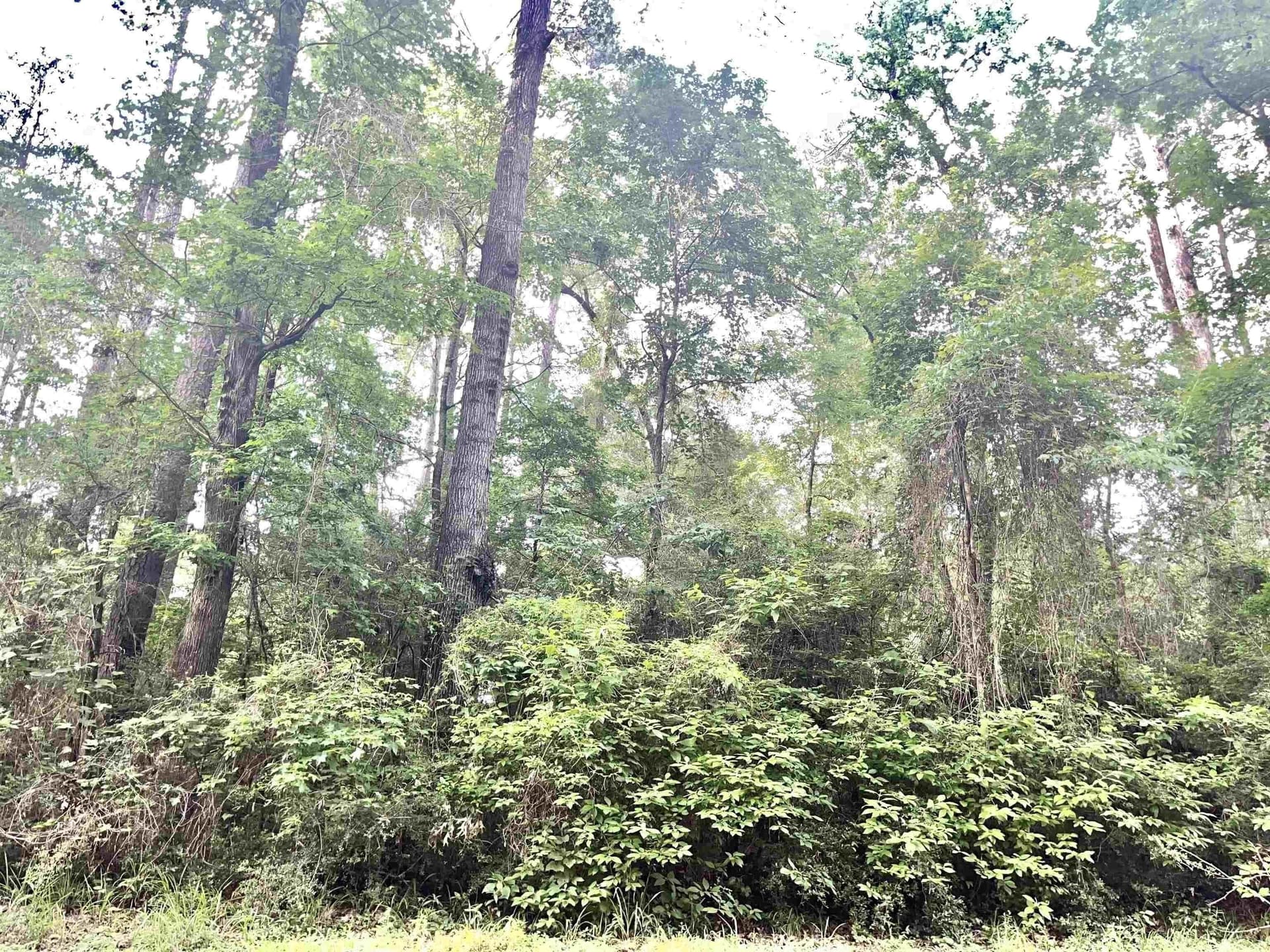 0.27 acres in Texas County