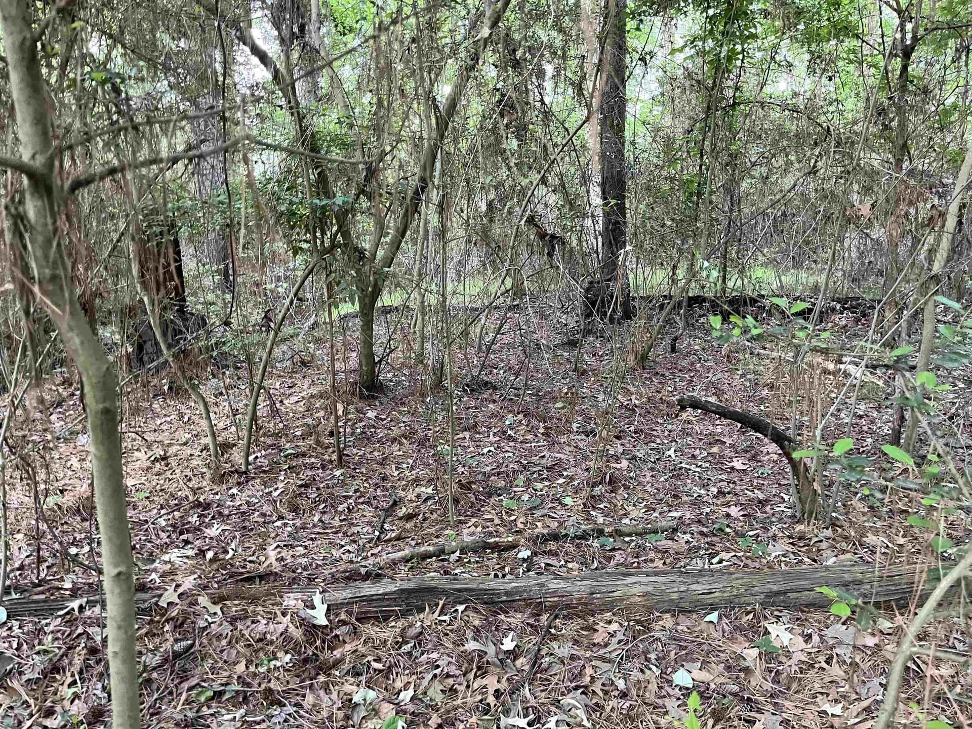 0.27 acres in Texas County - photo 6