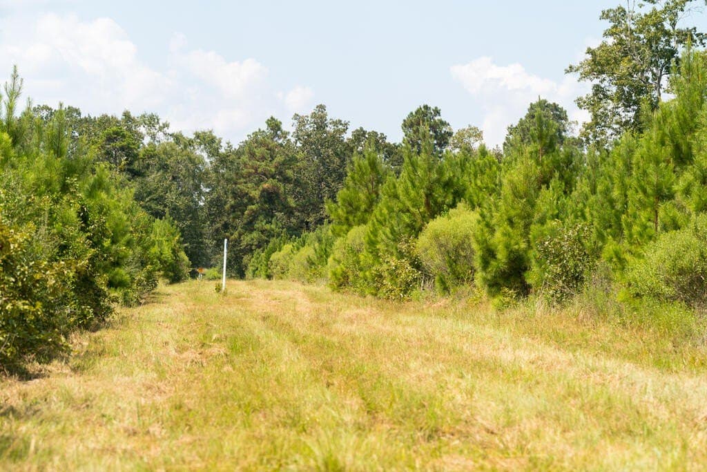 74.32 acres in Texas County - photo 9