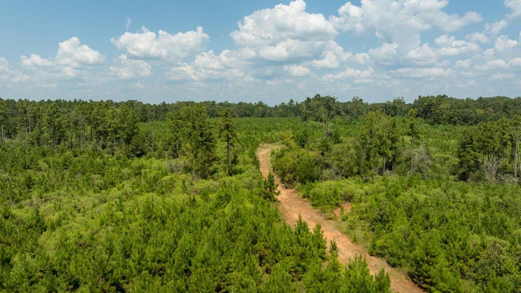 74.32 acres in Texas County - photo 32