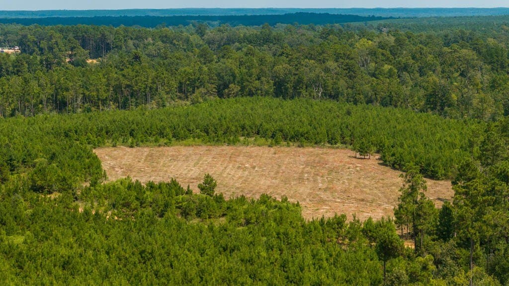 74.32 acres in Texas County - photo 28