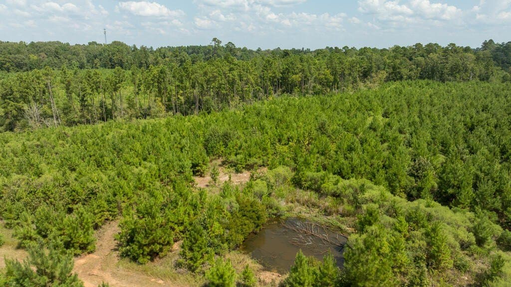 74.32 acres in Texas County - photo 31