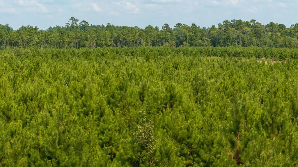 74.32 acres in Texas County - photo 27