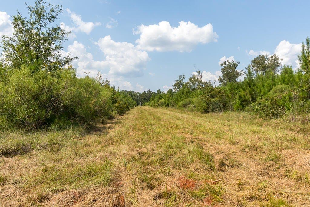 74.32 acres in Texas County - photo 7